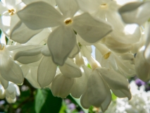 Akku_201405_AK_OD_2
