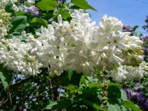 Akku_201405_AK_OD_3