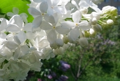 Akku_201405_AK_OD_4