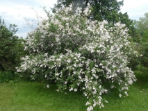 Albida_201906_HP_MLD_1