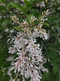 Albida_201906_HP_MLD_2