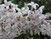 Albida_201906_HP_MLD_5