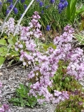 Anabel_20210427_BLBG_MLD_2