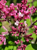 Bailbelle_20220509_MLD_MLD