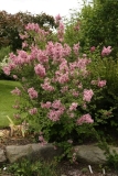 Bailbelle_CH_1