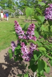 Benita_2018_Dobele_NS_3