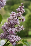Berryer_2012_Nancy_TP_4