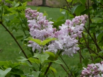 Blanche_Sweet_20180506_LA_MLD_2