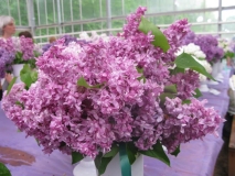 Bogdan_Khmelnitskii_201905_MN