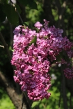 Chmurka_Main_BG_TP_5