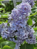 Condorcet_BLBG_20240504_MLD_33