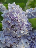Condorcet_BLBG_20240504_MLD_34