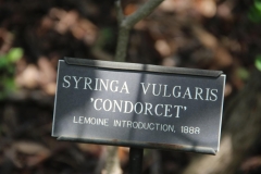 Condorcet_BLBG_TP_1
