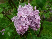Crepuscule_200905_CEF_BB_1