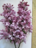 Dalnevostochnitsa_2020_FRVR_LP1