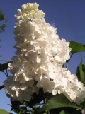 Doroga_Zhizni_TP_2