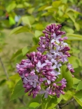 Edward_J._Gardner_20210427_BLBG_MLD_1