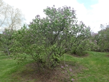 Ekenholm_20180510_HP_MLD_1