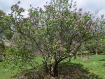 Ekenholm_20180510_HP_MLD_4