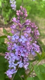 Elsdancer_20220524_MN_KA