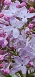 Excel_202301417_MLD_MLD_1