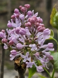 Excel_20230414_MLD_MLD