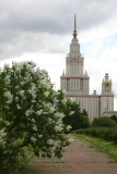 Excellent_MSU_BG_TP_6