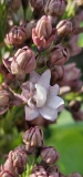 Federiko_Garsia_Lorka_20240408_MLD_MLD_3