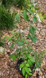 Floreal_20240507_MLD_MLD
