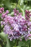 Frederick_Douglass_2013_HP_TP_3