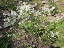 G13103_New_Age_White_20240416_MLD_MLD_2