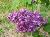 Gaizinkalns_20220528_KA_MLD