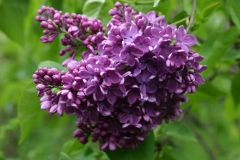 Gilbert_TRD_TP_2