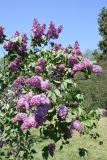 Glory_2013_HP_TP_4