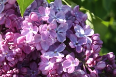 Glory_2013_HP_TP_6