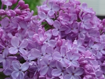 Glory_2021_EB_3