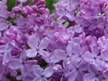 Glory_2021_EB_4