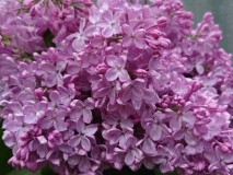 Glory_2021_EB_7