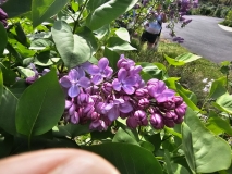 Glory_BLBG_20240504_MLD_1