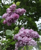 Glory_TRD_TP_6
