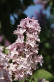 Grace_Orthwaite_Main_BG_TP_9