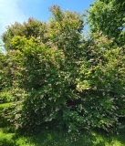 Handel_20210531_HP_MLD_2