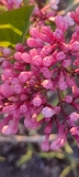 Hurakowze_x_OP_20240421_DC_DC_1