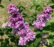 Jeffrey_20230525_KA_JM