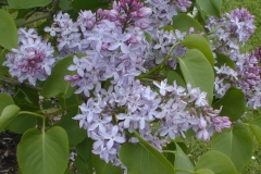 KATHY TURNER