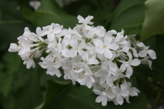 Khoroshee_Nastroenie_TP_2