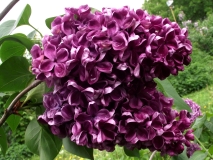 Khose_Marti_TP_3