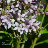 Kjell_201906_LM_CF