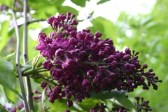 Komsomoltsy_Dvadtsatykh_Godov_3
