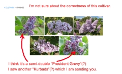 Kurbads_2015_Dobele_SB_1